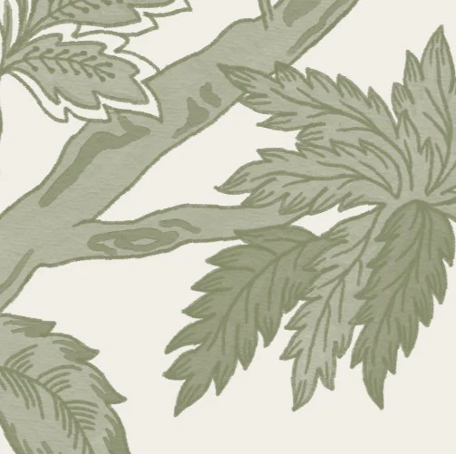 Duvets & Shams - Swatches - Image 16